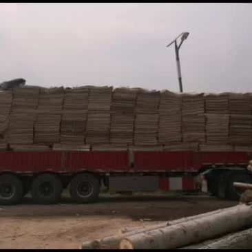 杨木板皮厂家直发，价格面议，联系电话1862128737