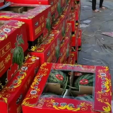 河南西瓜代办代发,开封西瓜批发市场,美都西瓜产地代办