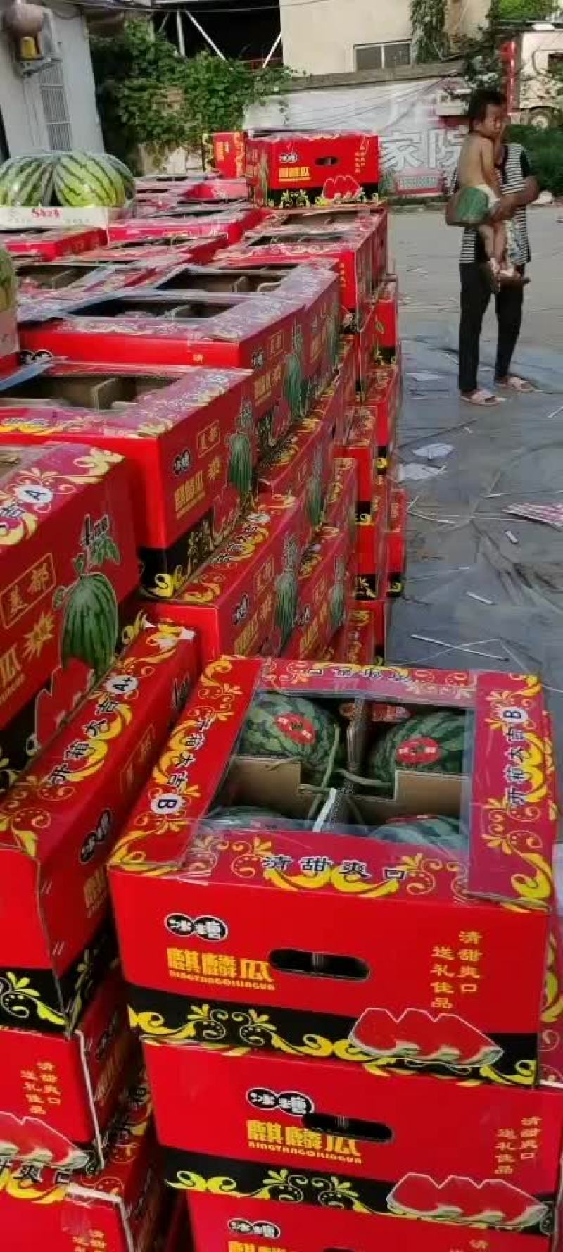 河南西瓜代办代发，开封西瓜批发市场，美都西瓜产地代办