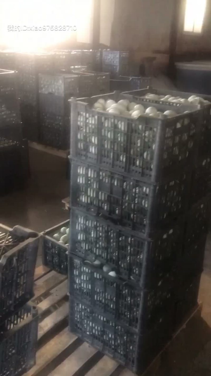 辽宁省一手货源松花蛋