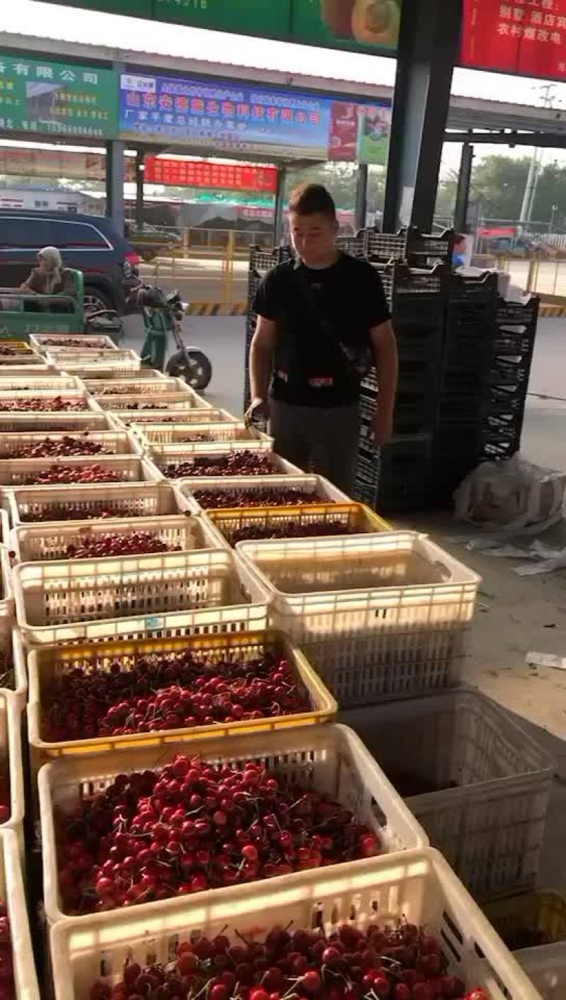 红灯大樱桃🍒美早大樱桃
