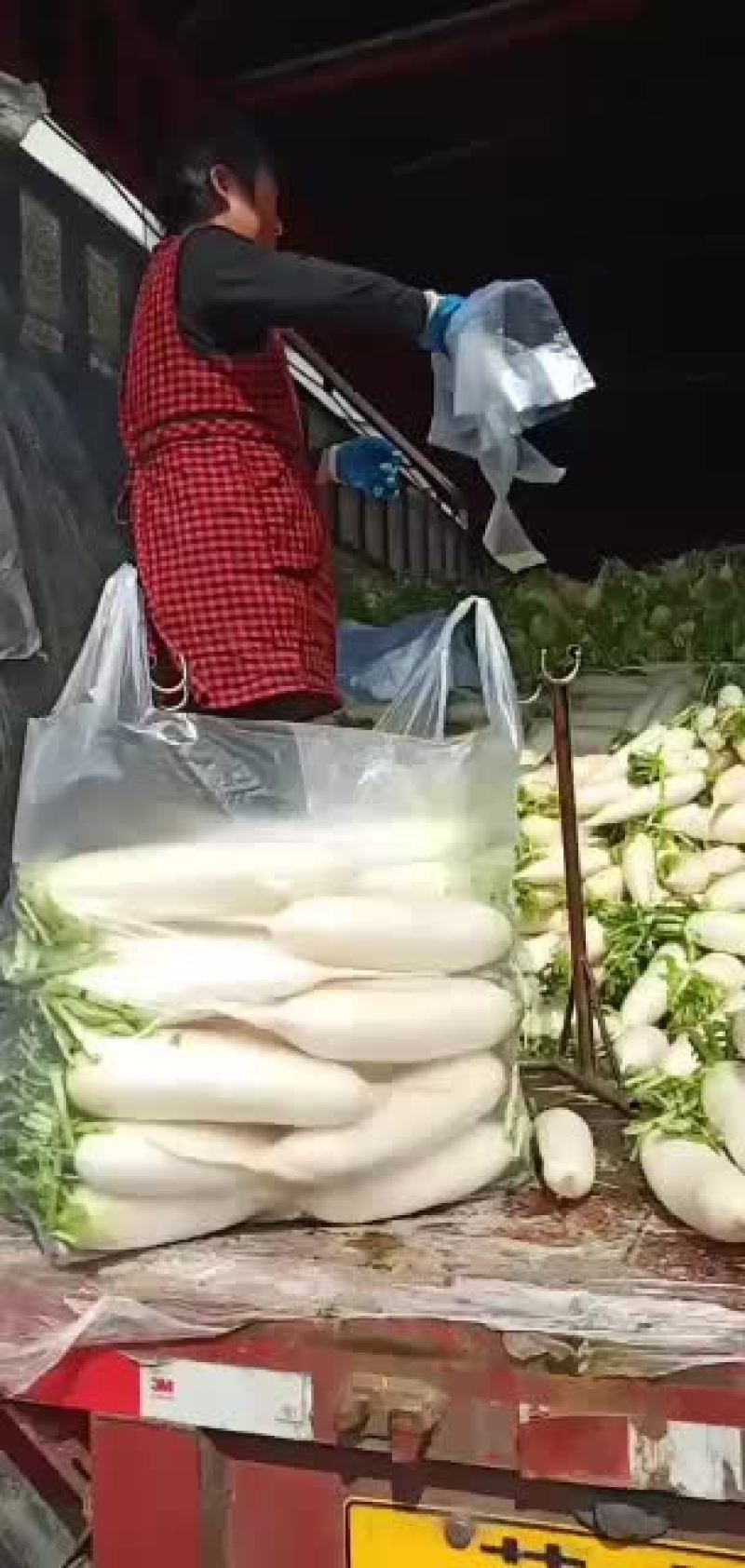 我们只做精品白萝卜……