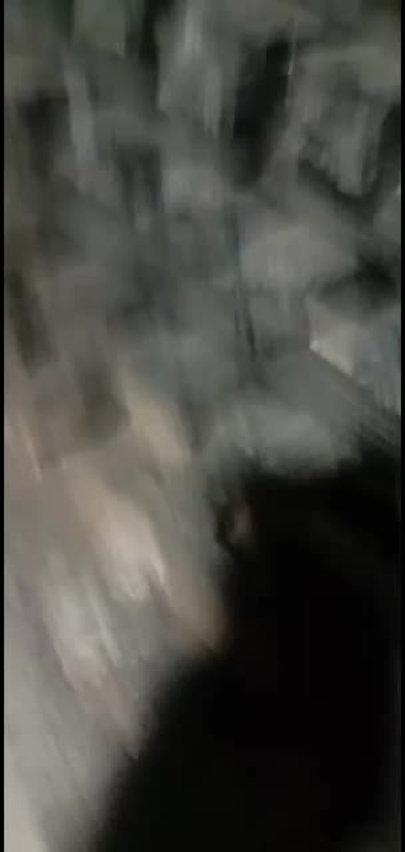 土窑机制木炭大量出售