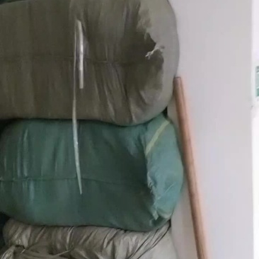玉米须足干精选玉米须