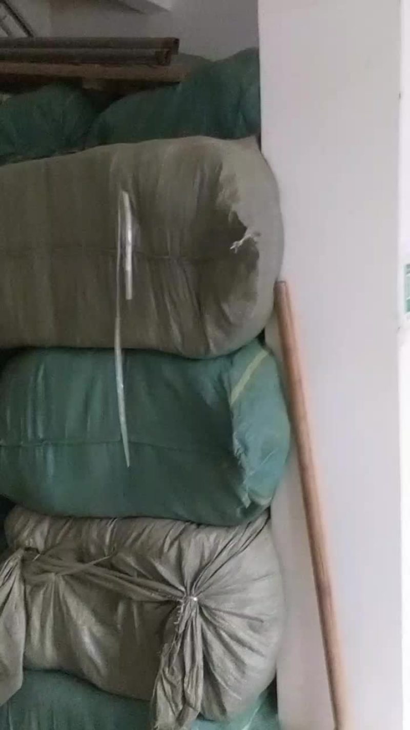 玉米须足干精选玉米须