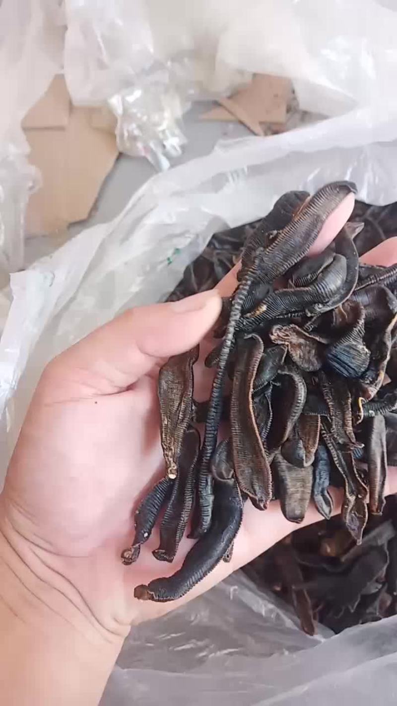 水蛭干（蚂蟥）清水吊干货山东临沂产地直销质量好价格合理