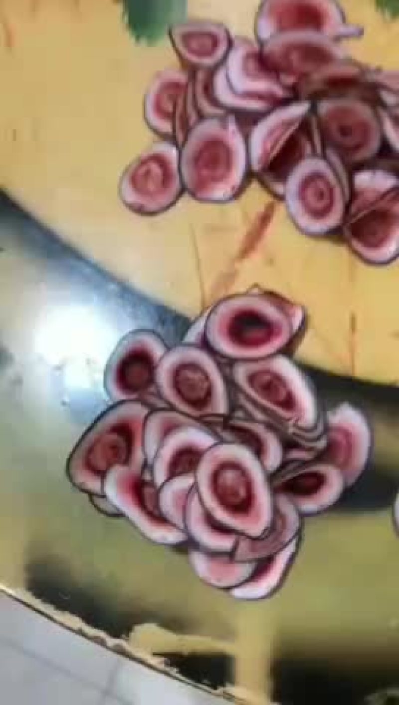 鲜鹿茸片，高质量，1件代发
