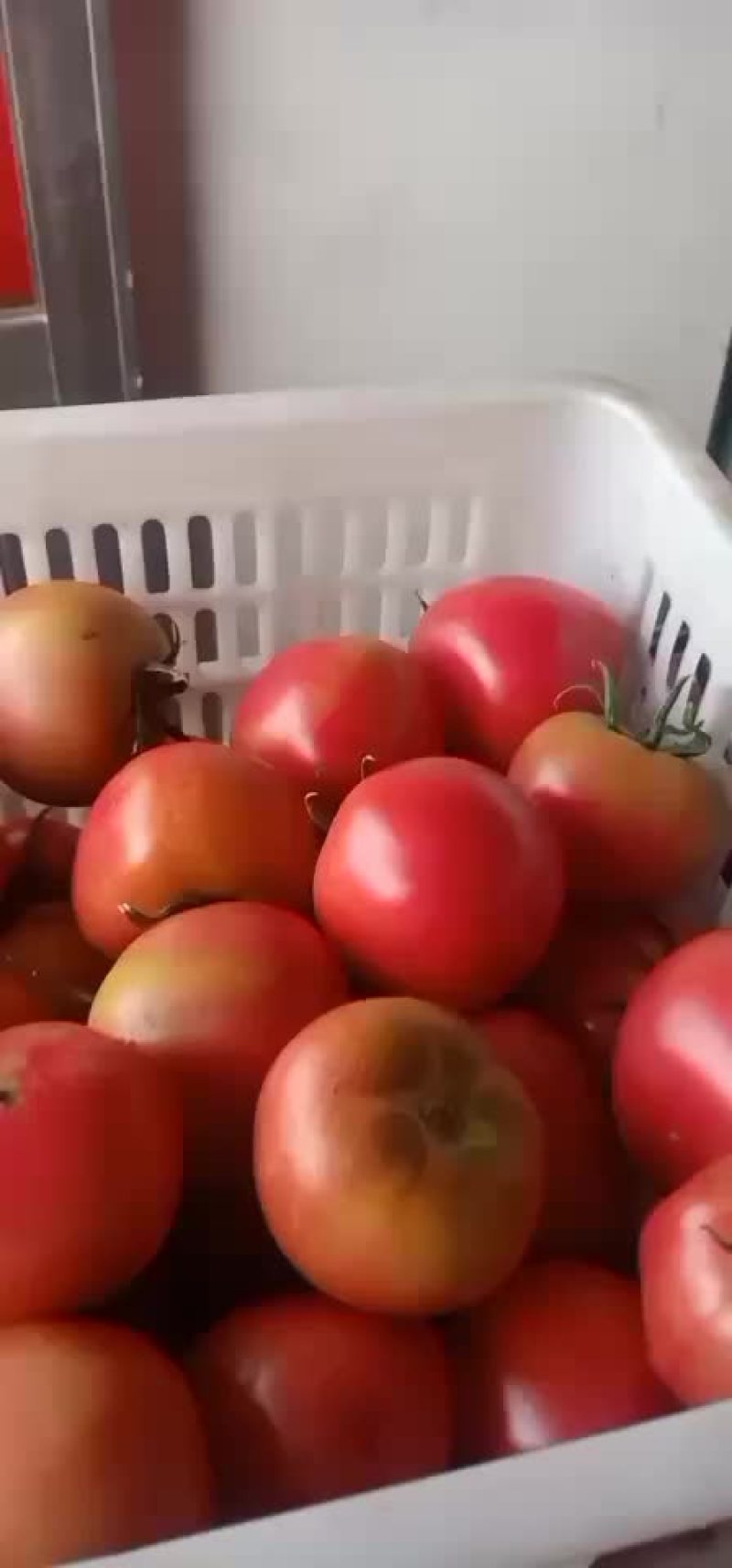 一般通货。口感型。西红柿