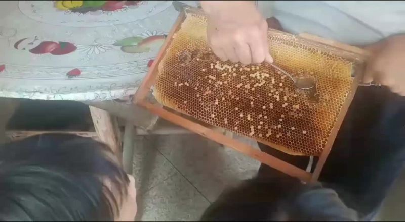 蜂蜜，土蜂蜜，现在是春蜜