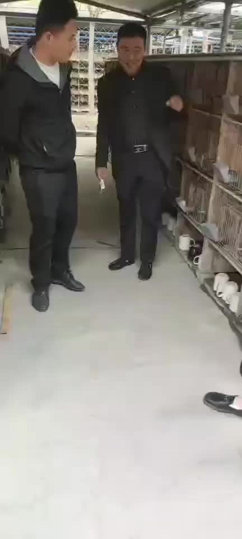 你养殖我回收帮你发家致富咱们场免费提供笼子饲料