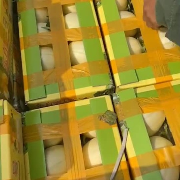 台州正宗东方蜜大量上市