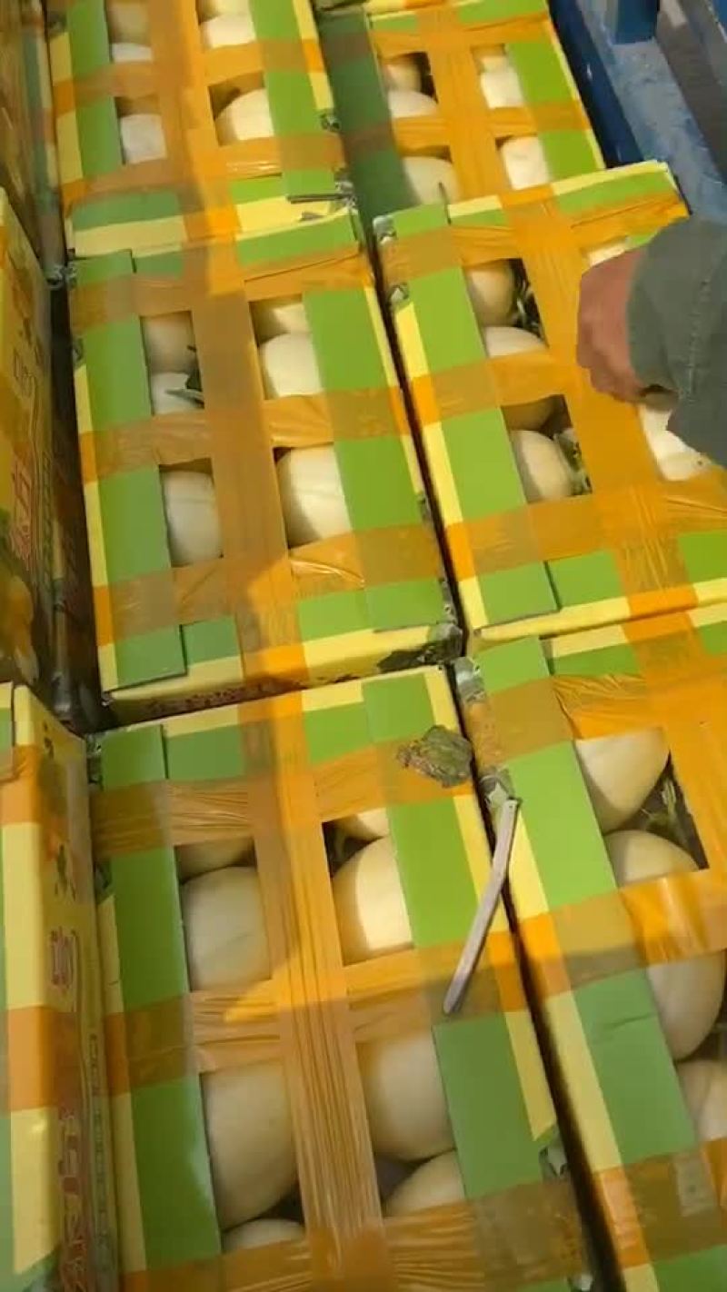 台州正宗东方蜜大量上市