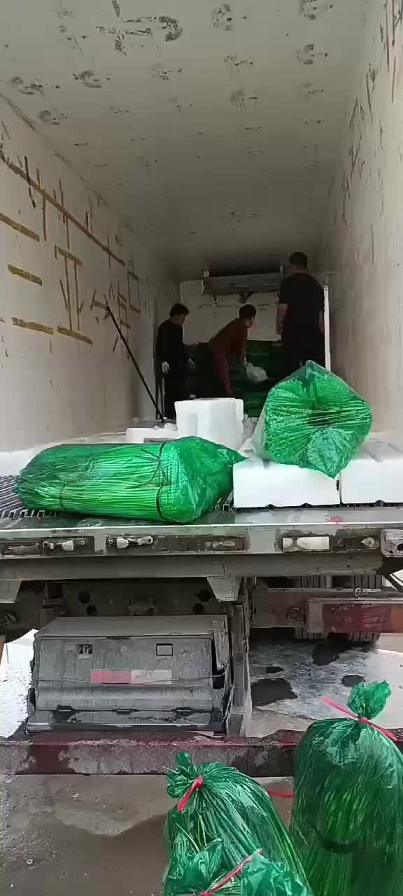 蒜苔！蒜苔！蒜苔！蒜苔