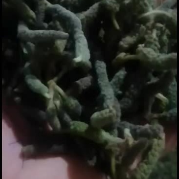 构棒槌，