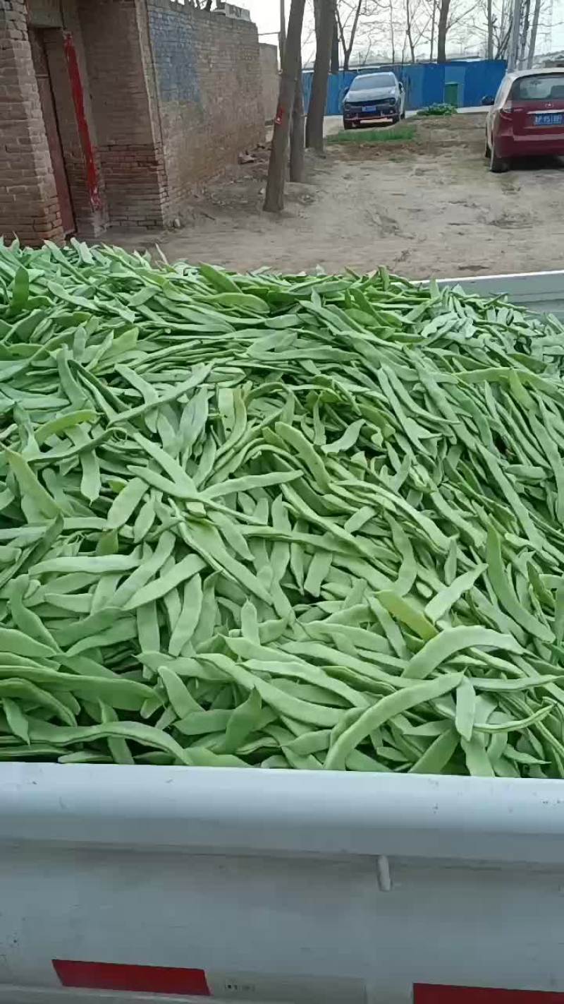 蔬菜芸豆大扁赶集货下滑