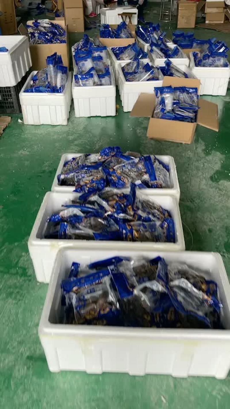 残参！乌参电商微商爆款一首货源