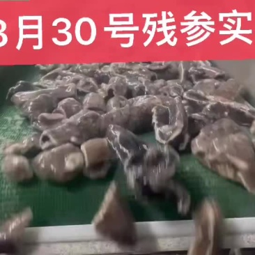 残参！乌参电商微商爆款一首货源