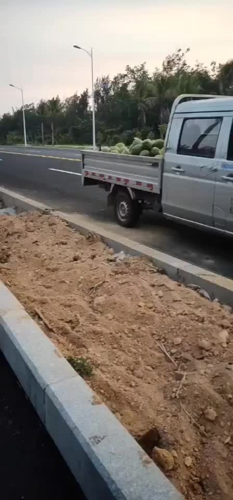 椰子个头大，想长期合作的，就来