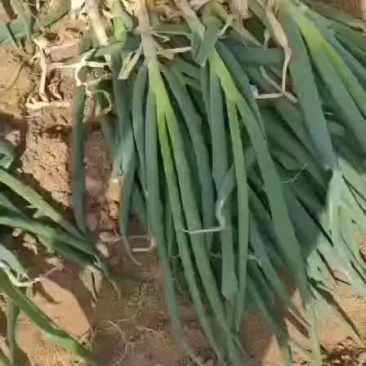 长年加工代收整车发货