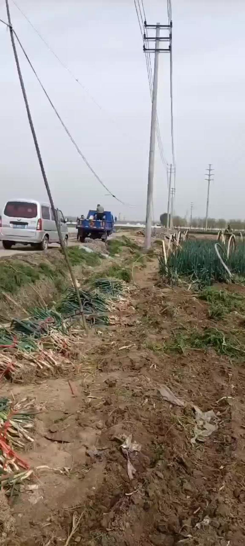 长年加工代收整车发货