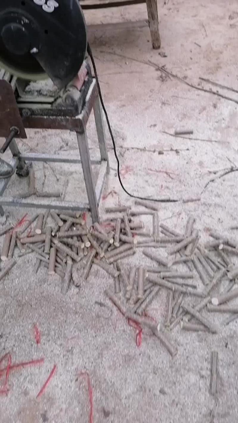 107速生杨仟插段，大量供应107速生杨仟插段，品种纯，