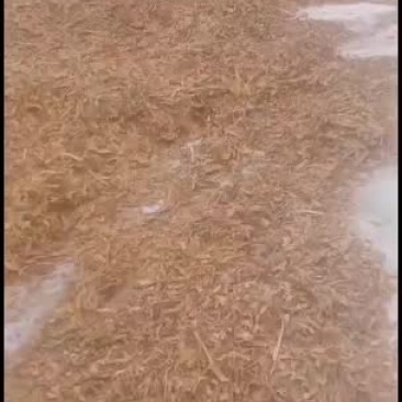 广西刨花，手工去皮刨花
