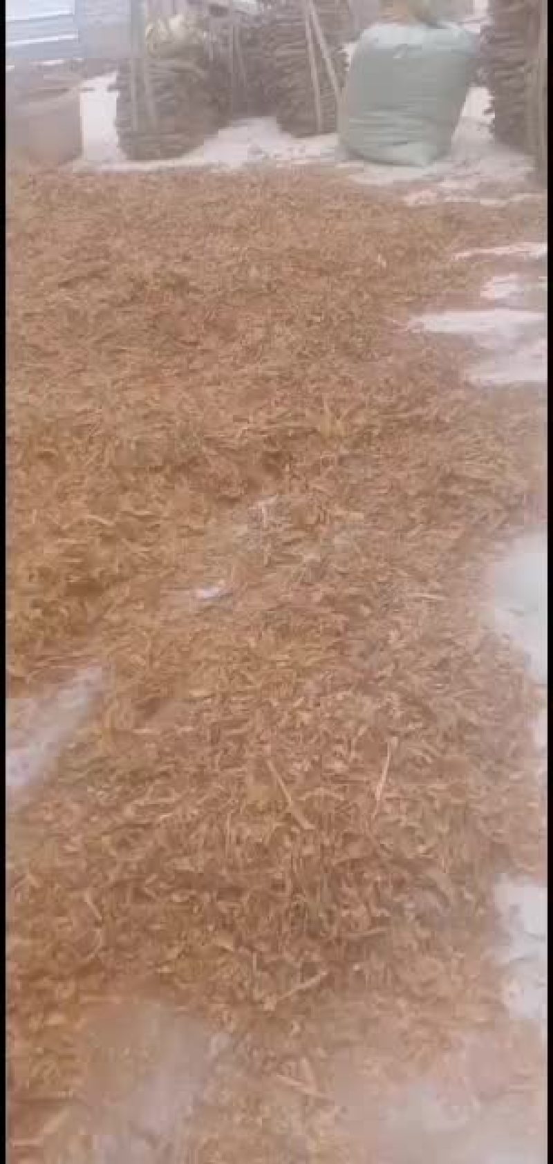 广西刨花，手工去皮刨花
