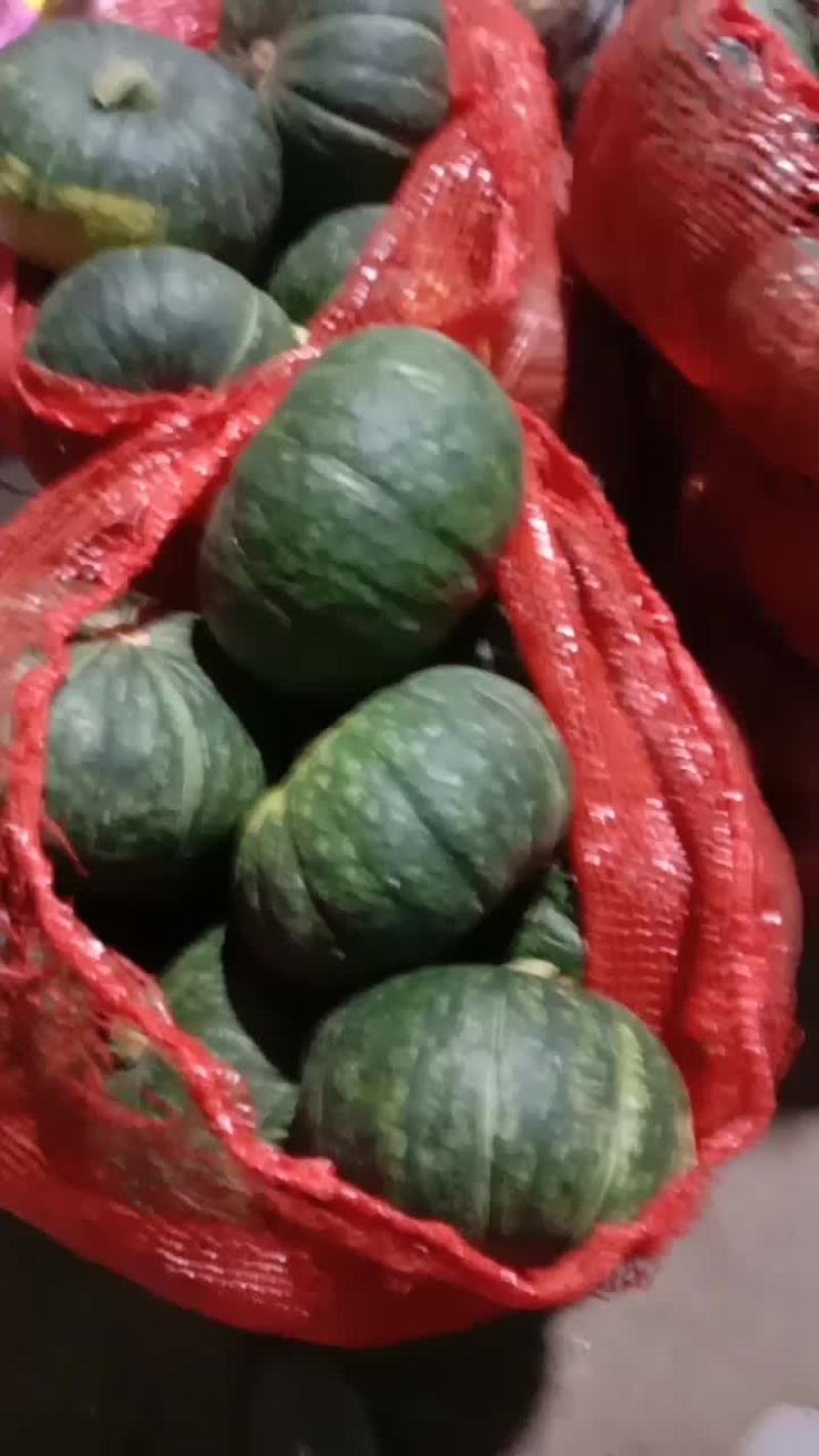 板栗南瓜，广西种值基地