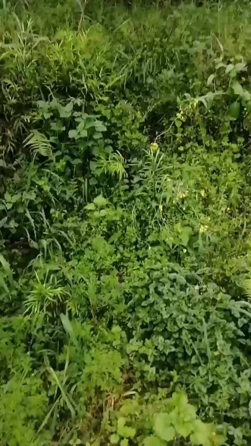 永远热情的忠县人为你服务