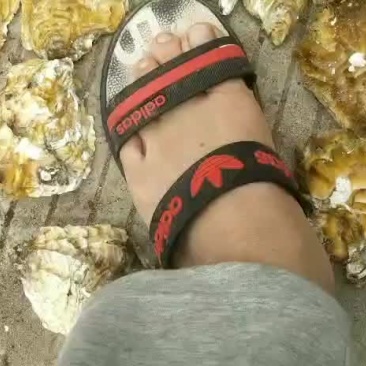 北海米七海鲜批发，生蚝岀售