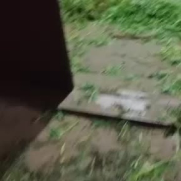 芦篙云南省曲靖市沿江龚家坝