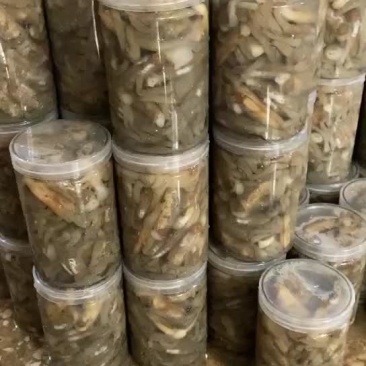 漂亮的海蛏，欢迎各大电商老板来合作