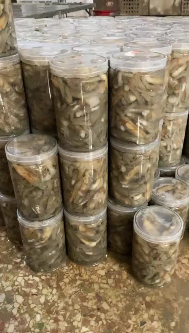 漂亮的海蛏，欢迎各大电商老板来合作