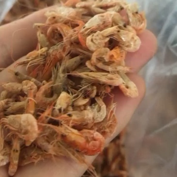 干虾..........