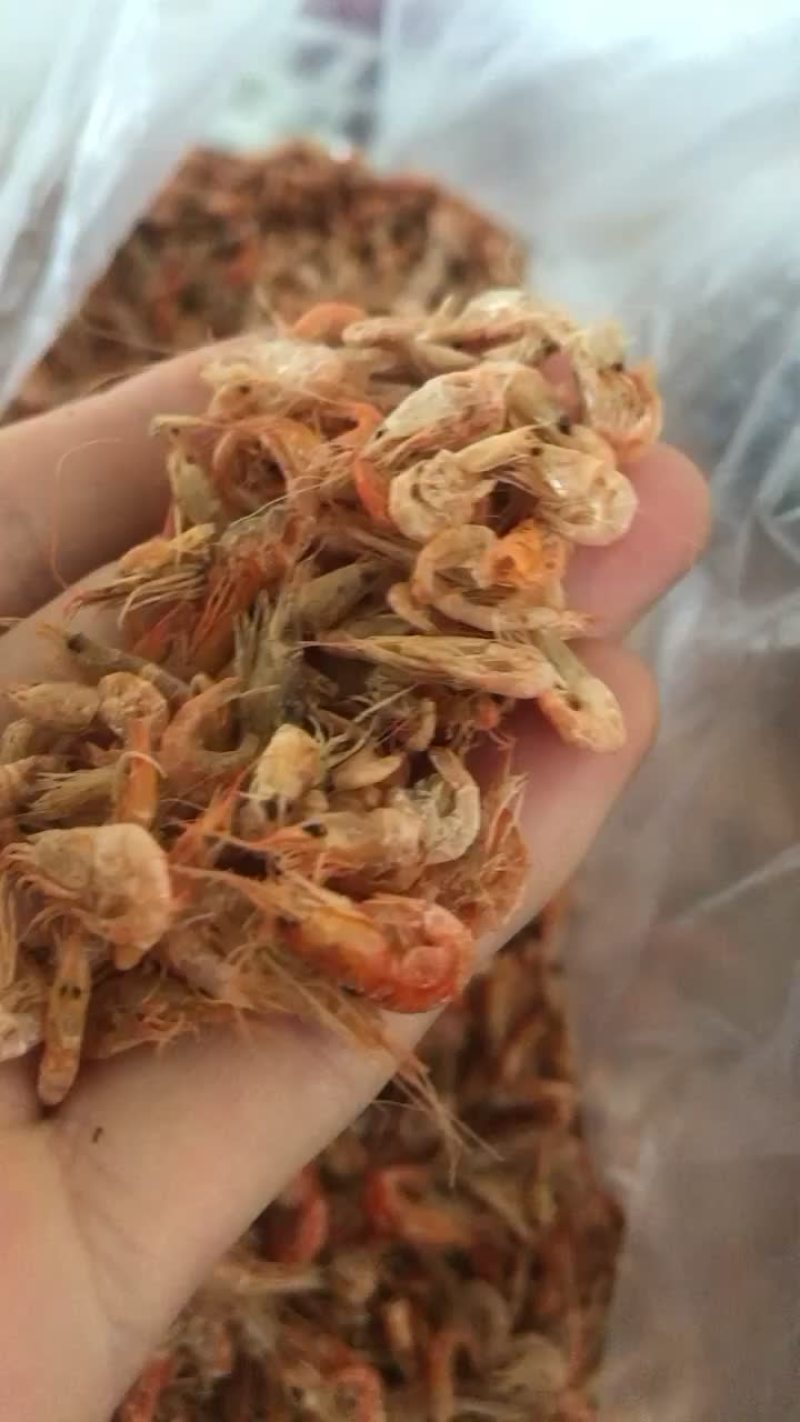 干虾..........