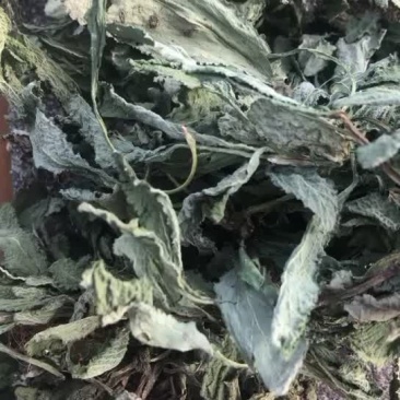 中草药野生荔枝草，蛤蟆草，雪里现，干货