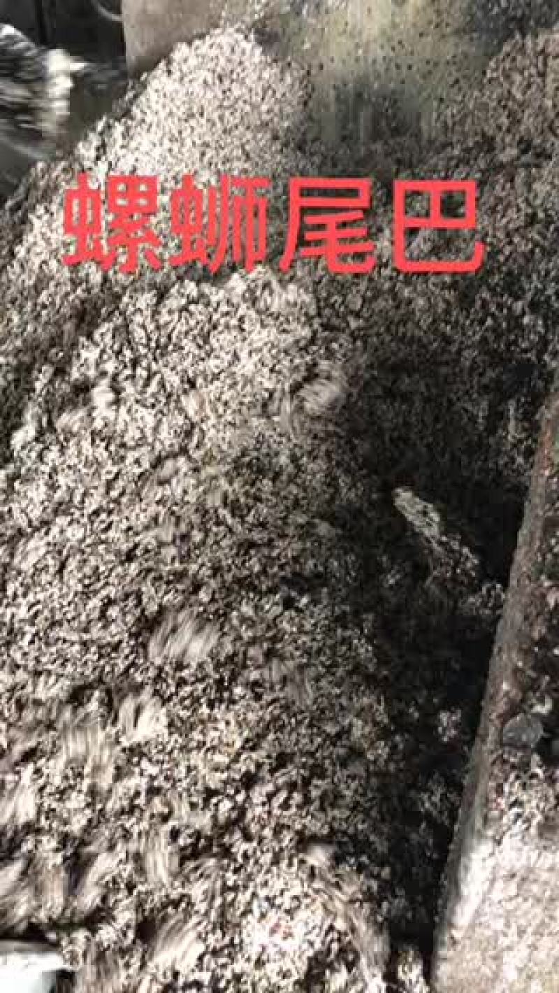 螺蛳尾巴，全年供应，自家工厂