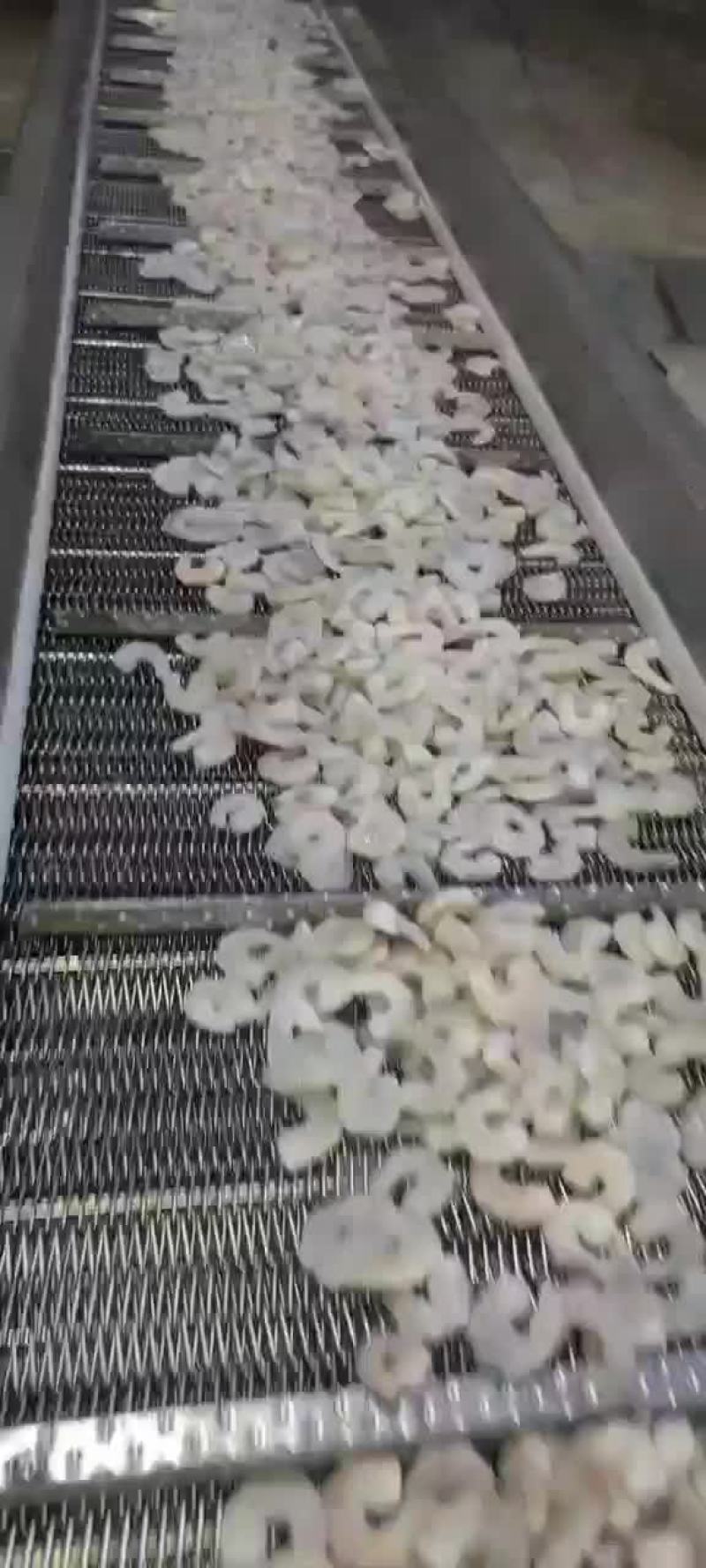 单冻青虾仁，现剥虾仁速冻，鲜冻水产品，常年供货