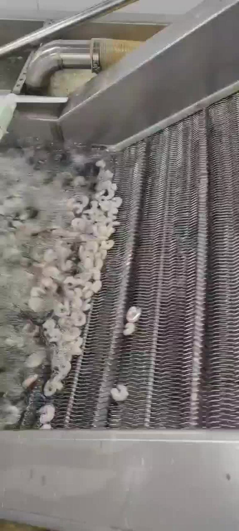 单冻青虾仁，现剥虾仁速冻，鲜冻水产品，常年供货
