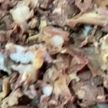 高品质全熟剔骨肉，量大从优，可接各种规格大小，可直接使用