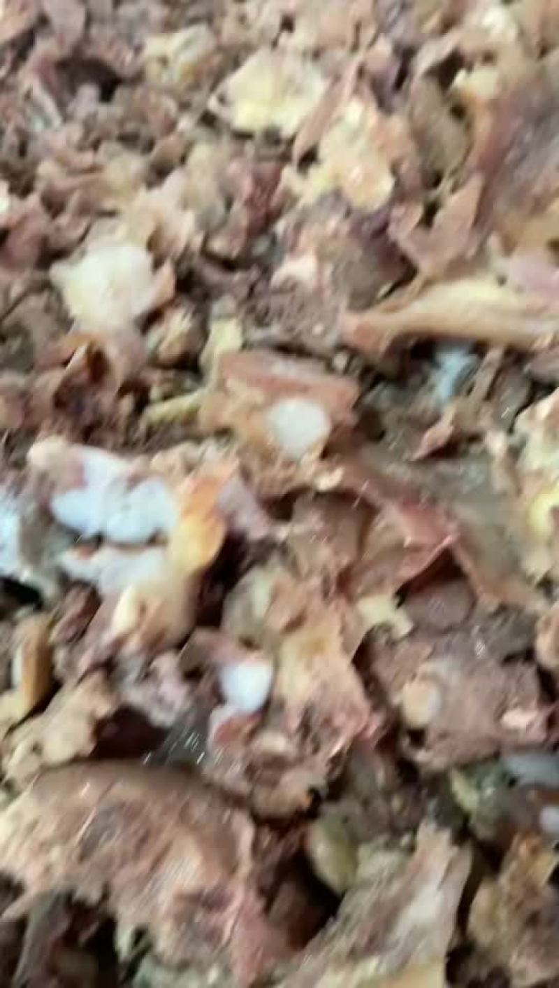 高品质全熟剔骨肉，量大从优，可接各种规格大小，可直接使用