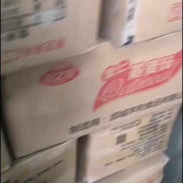 8月临期炫迈口香糖低价甩卖