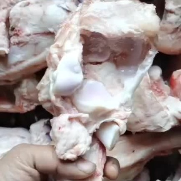 牛拐骨质量保证，长期有货，可剧块餐桌必备