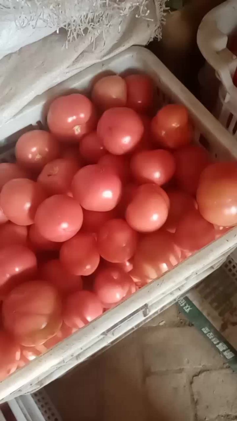 普罗旺斯西红柿口感细腻甘甜，富硒多钙