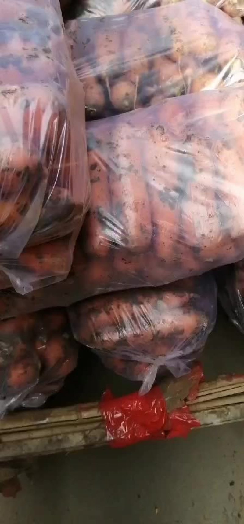 精品胡萝卜，价格美丽，质量非常好！
