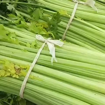 芹。菜