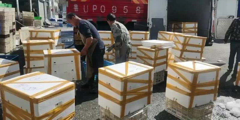 大量批发牛蛙，源头直供，一手货源，货源稳定，欢迎实地考察