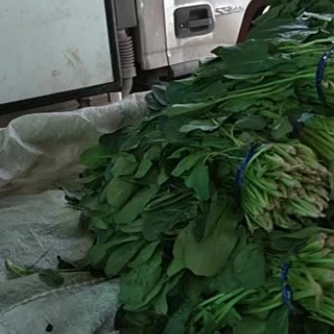 单县徐寨农贸市场代办代收瓜果蔬菜
