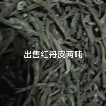 出售统货红丹皮色泽好