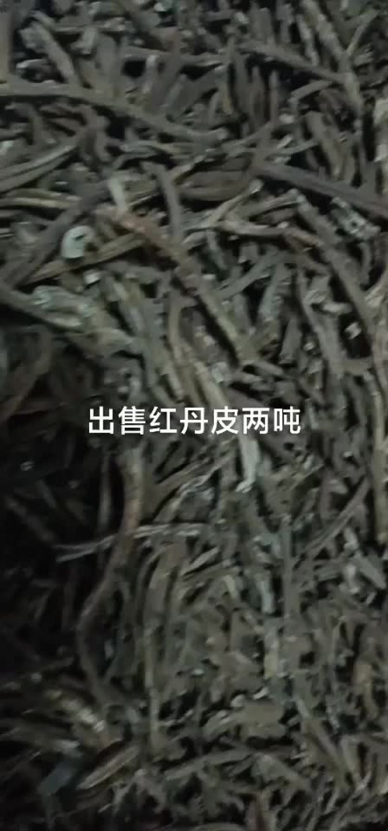 出售统货红丹皮色泽好